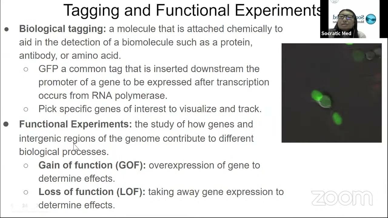 MCAT Program Bio/Biochemistry Laboratory Techniques Topic 7/7