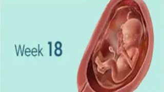 18 week pregnency symptoms /week by week pregnency symptoms