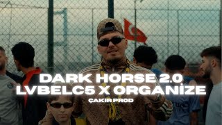 Lvbelc5 & Organize - Shevchenko 2.0 (Çakır Prod Remix)