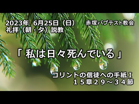 2023年6月25日(日)（朝・夕）赤塚教会礼拝説教「私は日々死んでいる」コリントの信徒への手紙Ⅰ 15章29～34節