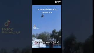 Permanently Borrowing Memes