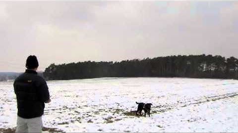 Multiplex Fun Cub - First Flight