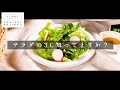 意外と知らない「サラダの基本」を科学の視点で【日本イチ丁寧なレシピ動画】