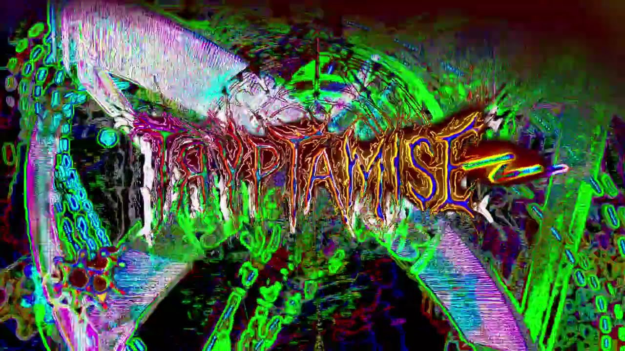 @tryptamise  | Psytrance @ Psy-Collab | 07.02.2026