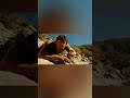 Don’t Quit Keep Going. #motivation #stoicism #youtubeshorts