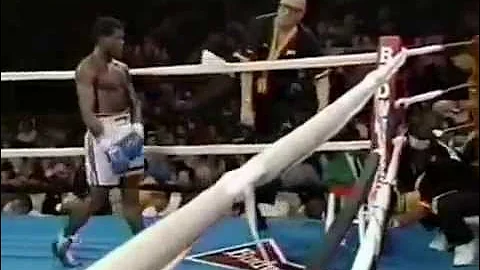 Pernell Whitaker vs Rafael Pineda