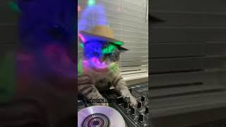 Dj KEDİ - TÜRKÜ SÖYLEYEN UŞAK #keşfet Resimi