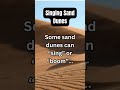 Sand Dunes That Can Sing!? #shorts