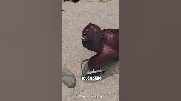The Bear Trap - How It Works