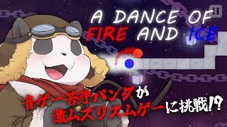 【A DANCE OF FIRE AND ICE】めちゃめちゃ楽しそうなリズムゲーを遊ぶ【摩耶パンダ/ケモノVTuber】