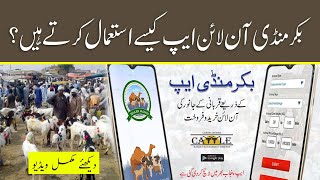 How to Login and Use Bakar Mandi Online App | App Tutorial PITB | Govt of Punjab | Lahore Today screenshot 1