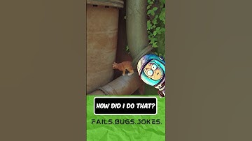 Stray #stray #fails #jokes #funnymoments #bugs #glitch #gamingvideos  #gaming