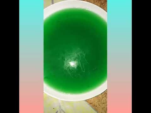 How to make animal cell 3D (gulaman version) | Pangilinan Gemma 
