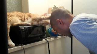 Cat Head Massage into Headbutt by Hey It's Wei 6,787 views 13 years ago 1 minute, 41 seconds