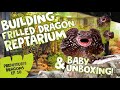 PD EPISODE 10: BUILDING FRILLED DRAGON REPTARIUM & BABY UNBOXING!