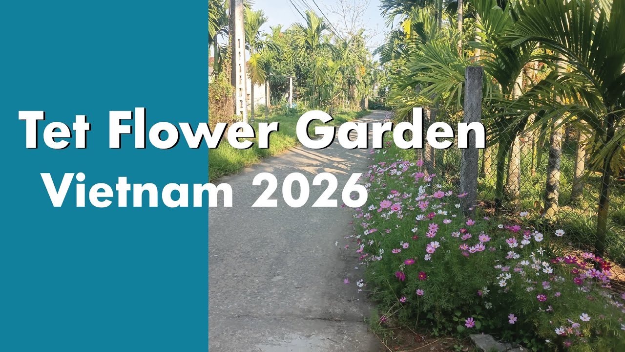 Цветочный Сад Тета во Вьетнаме 2026