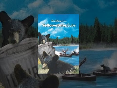 Yellowstone Cubs — трейлер