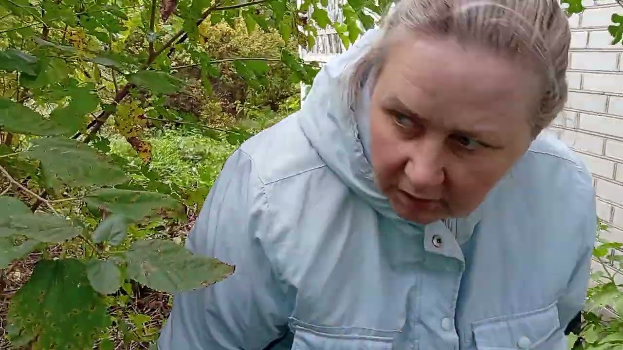 Осматриваем сад 🌳 Наша тихая усадьба у реки 🌱 Октябрь 2025