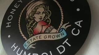 HONEYDEW FARMS are CANNABIS MOGULS!