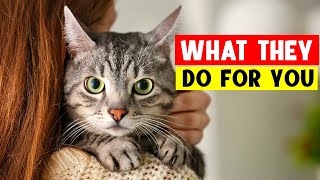 10 Things Your CAT DOES THIS FOR YOU Without You Knowing 🔥 by The Curious Cat 64,662 views 2 months ago 9 minutes, 6 seconds