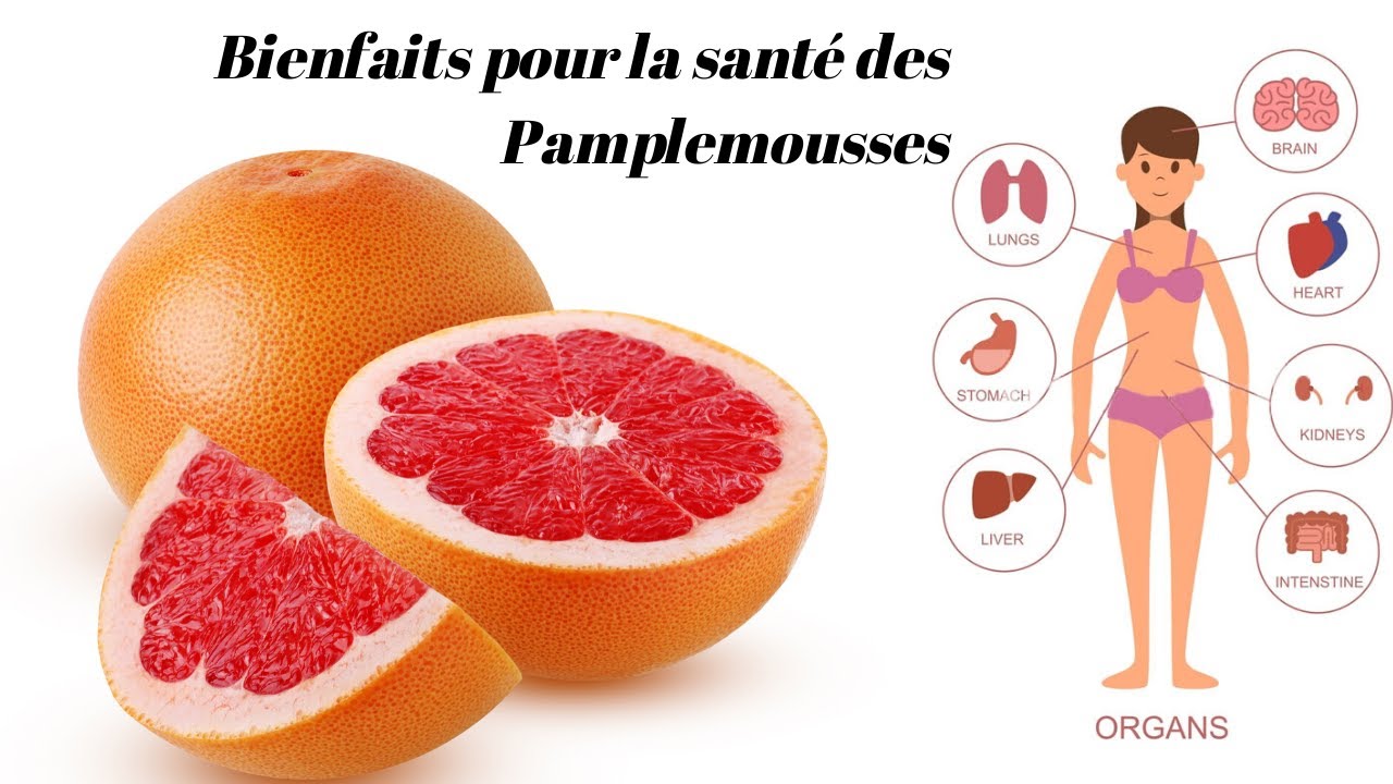 Pamplemousses 10 bienfaits pour la sante des pamplemousses YouTube