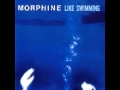 Morphine  hanging on a curtain