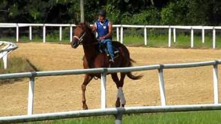Act Trot.AVI