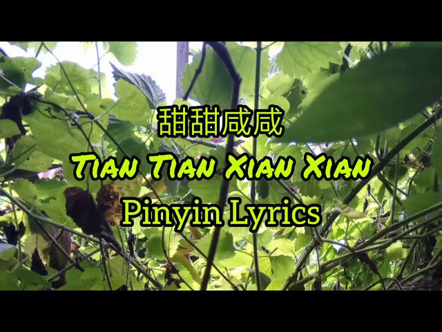 赵芷彤 Zhao Zhitong - 甜甜咸咸 Tian Tian Xian Xian | Mặn Mặn Ngọt Ngot Tiktok [Pinyin Lyrics] class=