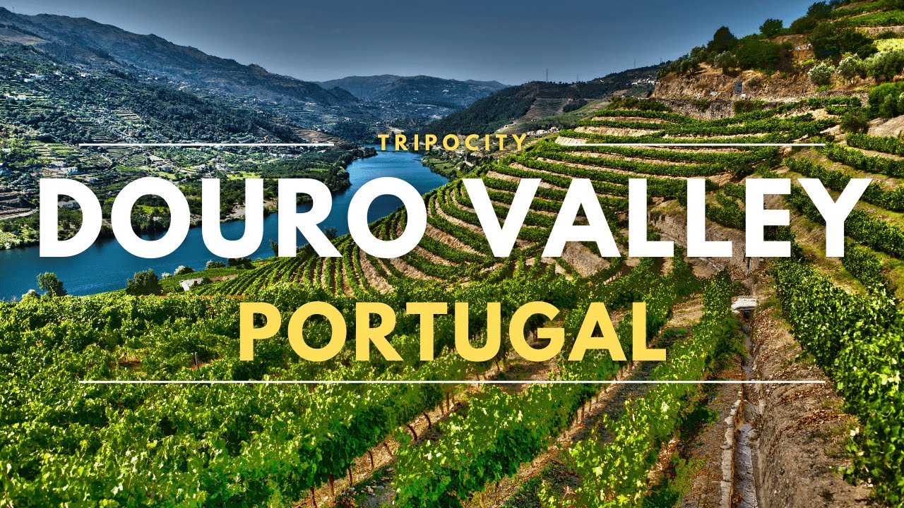 Douro Valley's Hidden Gems 15 Must-Know Attractions!