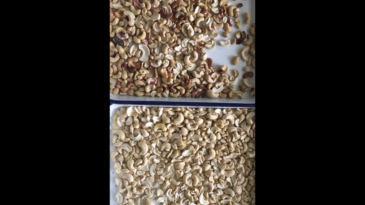 Cashew kernel and nut color sorting, splitting, grading