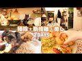 【2日間VLOG】キッチンの整理整頓で心地よく過ごす/おすすめ家電/愛犬たちへのXmas大作戦？/米粉の簡単朝食