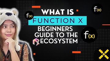 What is Function X? | A Beginners Guide to the F(x) Ecosystem