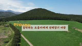 제주오름기행(Korea Jeju Oreum Trip) - 민오름(Min Oreum, 수망리)
