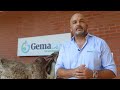 Central Genética y Reproductiva  GEMA LABS - Campo - Mundo del Campo
