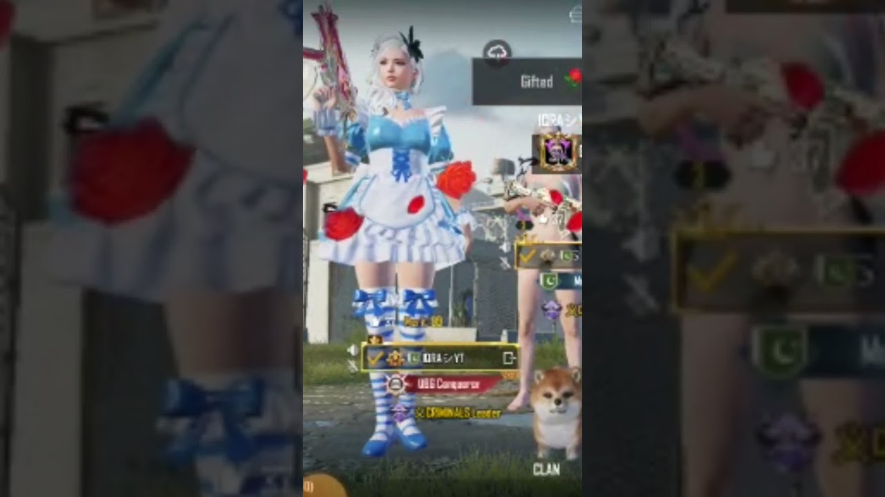 Synergy Rose 🌹 l IQRA YT