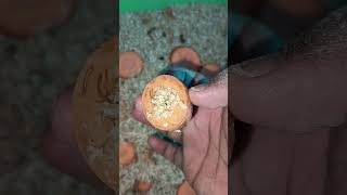 #superworms #baby superworms #worms #fishing worms