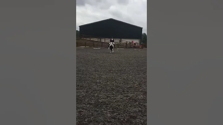 Inter dressage- Sandra Roby - Billy bobs