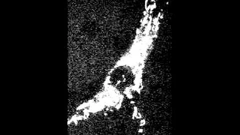 3T3 cell transfected with YFP-R2KR3 for 15 hours and stained with MitoTracker