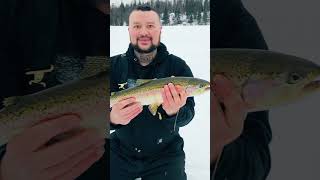 Some of my best. Alaska steelhead and trout.