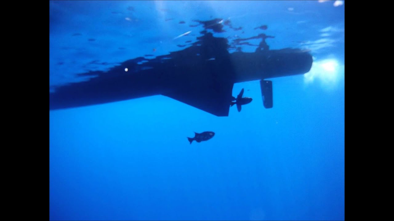 Oceanic Trigger Fish on fly - Best Fighting fish ever?