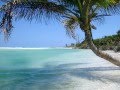 Paradise island getaway  relaxing beach nature sounds with music  calming