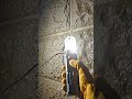 Finding a $10M Hidden Wine Vault #brooklynbridge  #shorts #engineering #hiddenhistory  #cinematic
