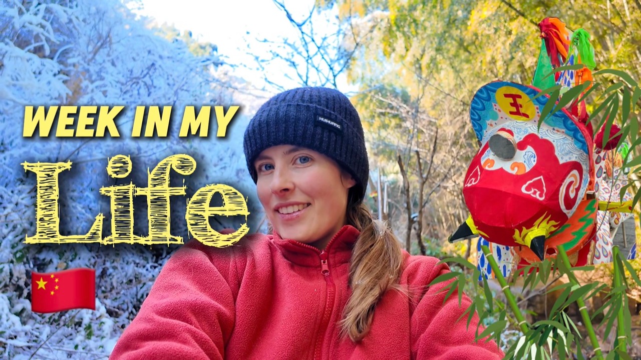 Snowy bamboo wonderland + Spring Festival celebrations! 🐲 My life in rural China~ 🇺🇸🇨🇳