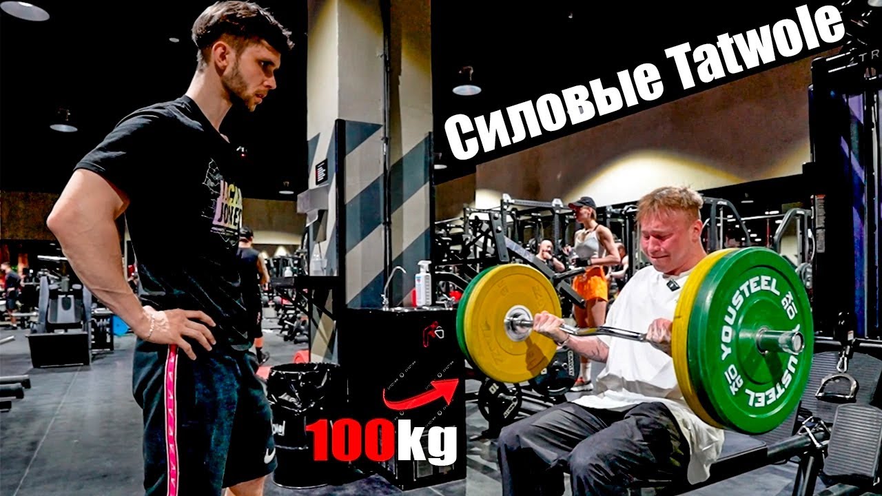 СКОЛЬКО ПОДНИМЕТ TATWOLE!