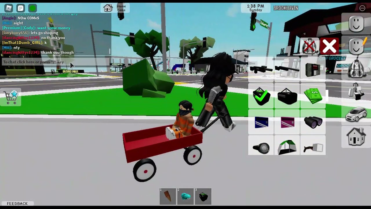 Kidnapped!     (Brookhaven 🏡RP Mini Movie)