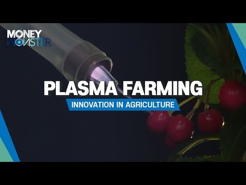 [Money Monster] Plasma farming, innovation in agriculture