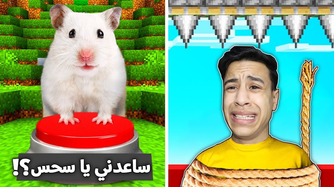 ماين كرافت : لعبة التعاون مع صديقي النوب (ألفار) 😂 | الاخير يفوز بالجائزة 100 💲