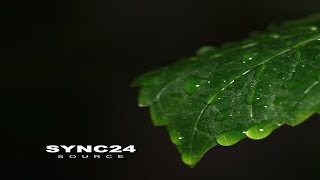 Sync24 - mBorg | Chill Space