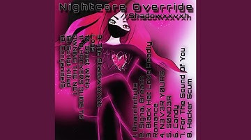 A HACKERS GUIDE TO OWNING THE NET (Kernel Override)