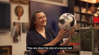 Dr Andrea Crowther on giant squids Net Worth